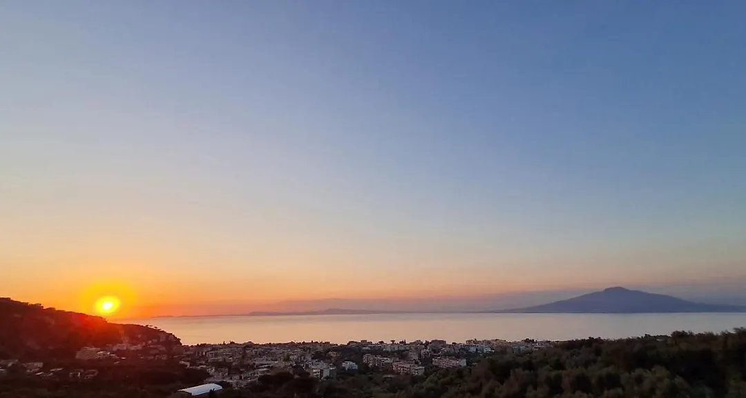 Mariahome Sorrento-1